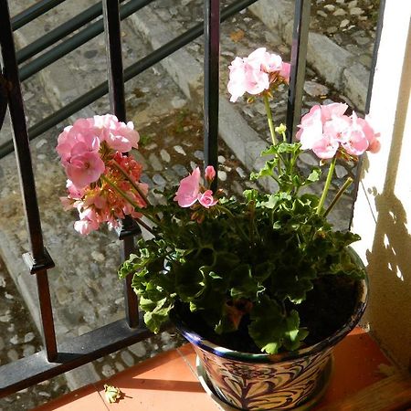 Escapadas Romanticas En Granada Jacuzzi Zewnętrze zdjęcie